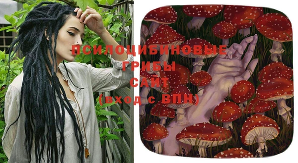бошки Балахна
