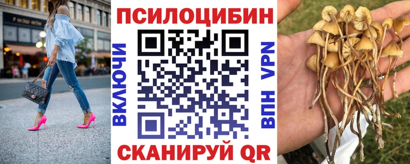 закладка  маркетплейс как зайти  Псилоцибиновые грибы прущие грибы  Можга 