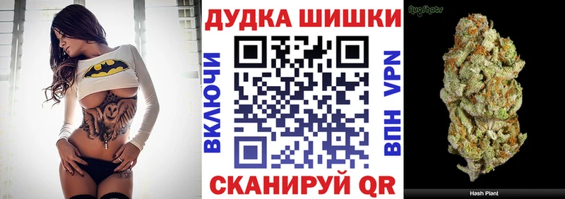 Конопля Amnesia  как найти   Можга 